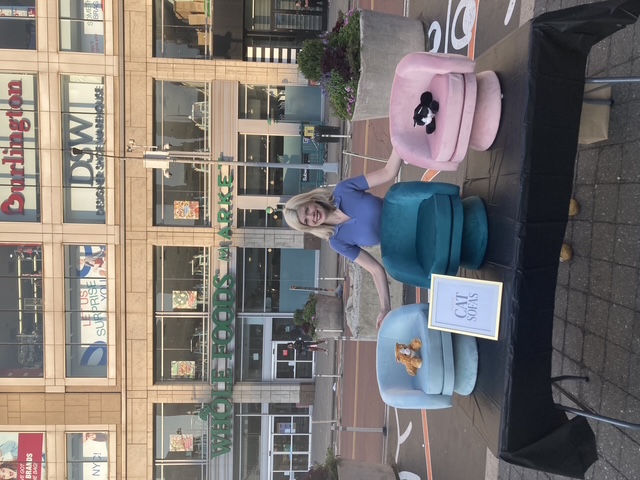 Daralyn Kelleher stands behind a table displaying three small velvet cat sofas in teal, light blue, and pink at an outdoor market.