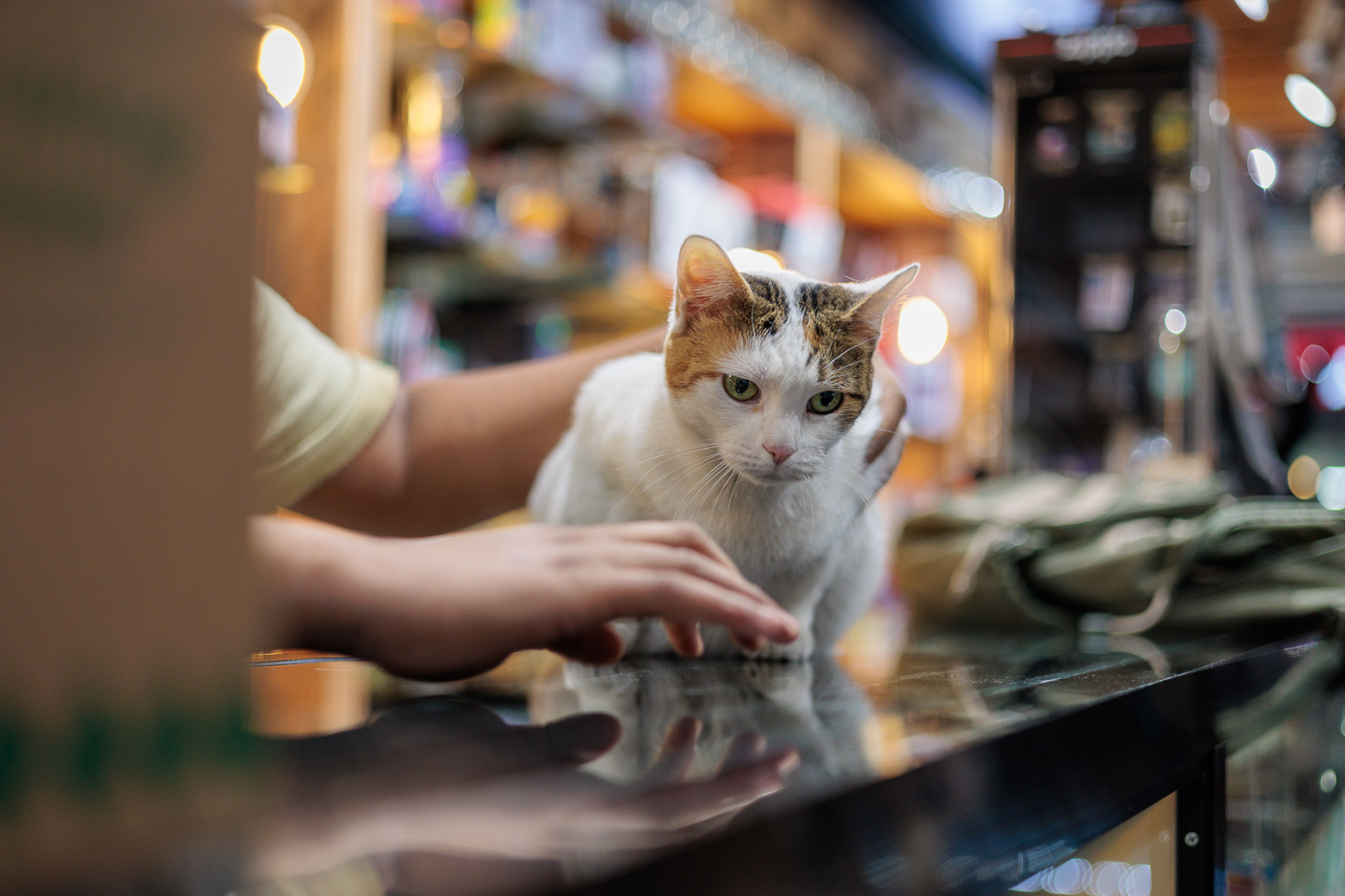 Delilah: People Need This