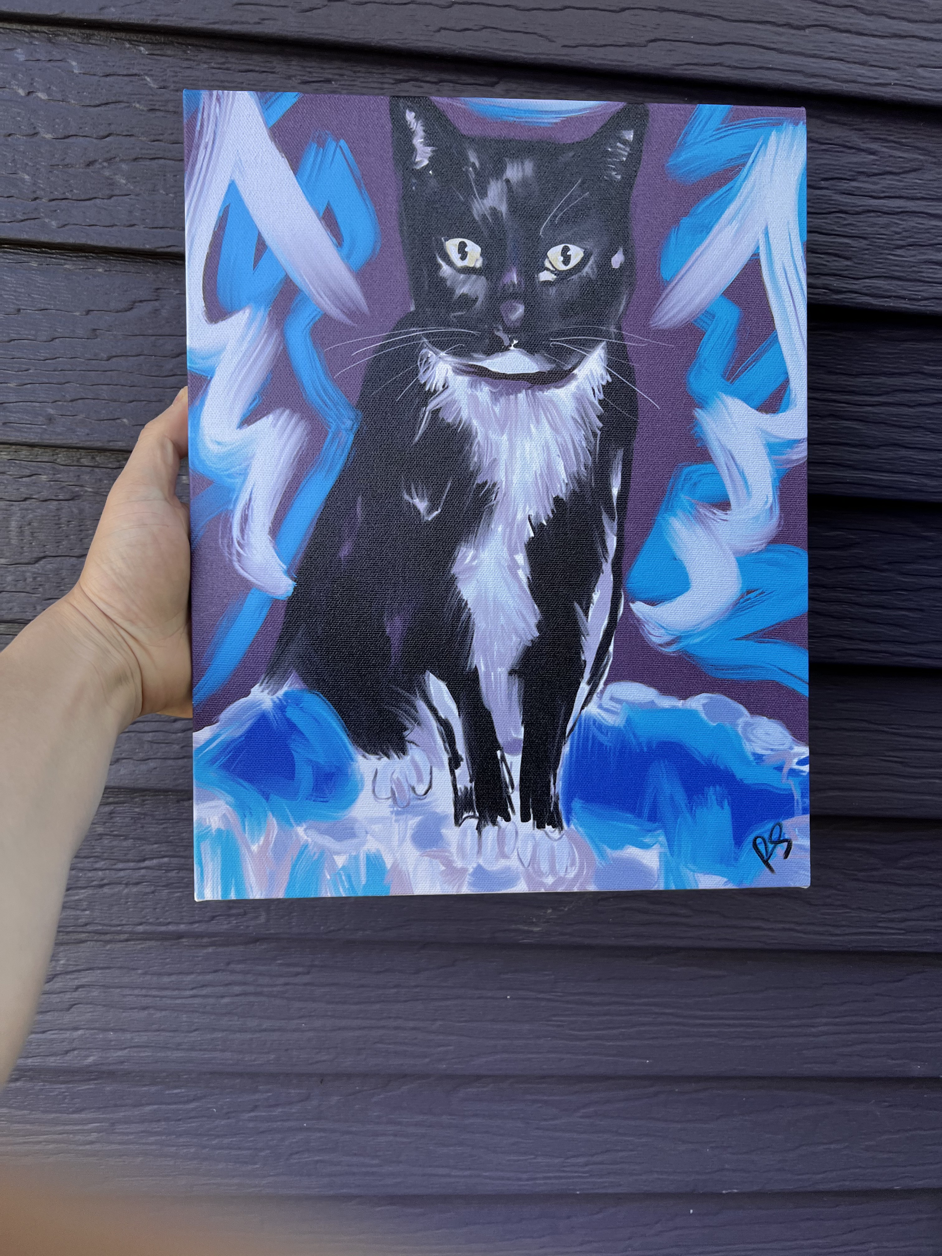 Luna the tuxedo bodega cat, the original manager