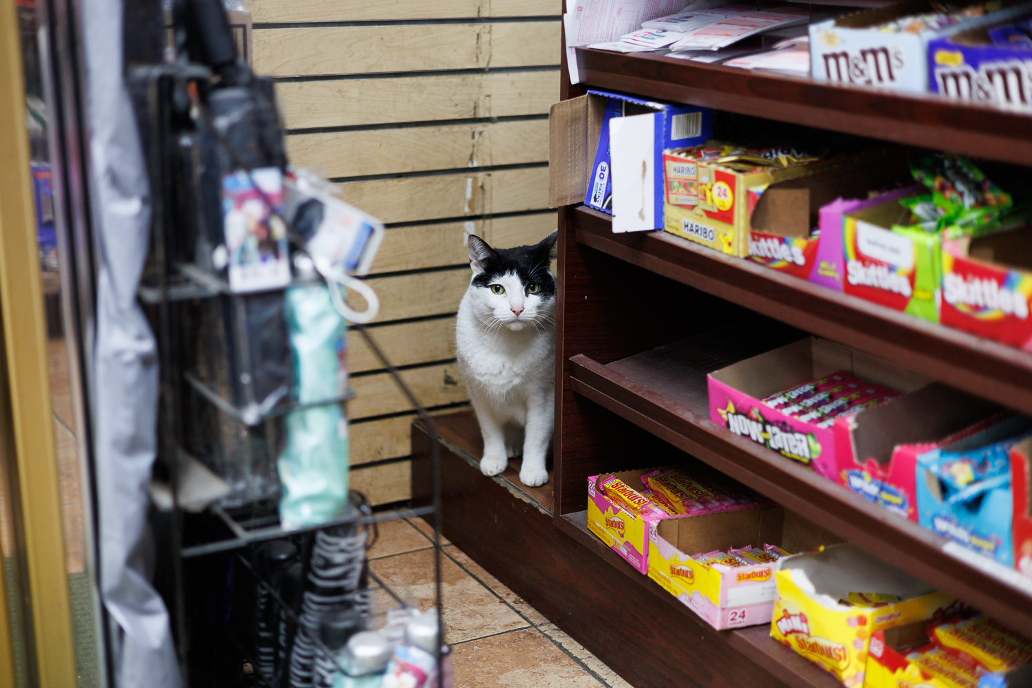 Prince watching from the candy aisle in SoHo
