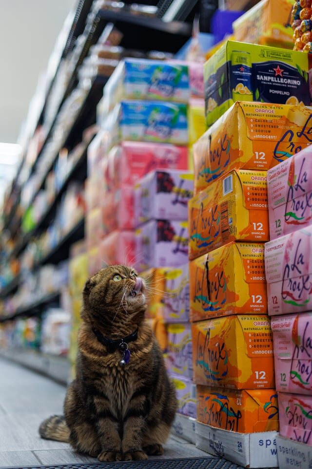 Tiger sitting beside stacked drinks in the bodega