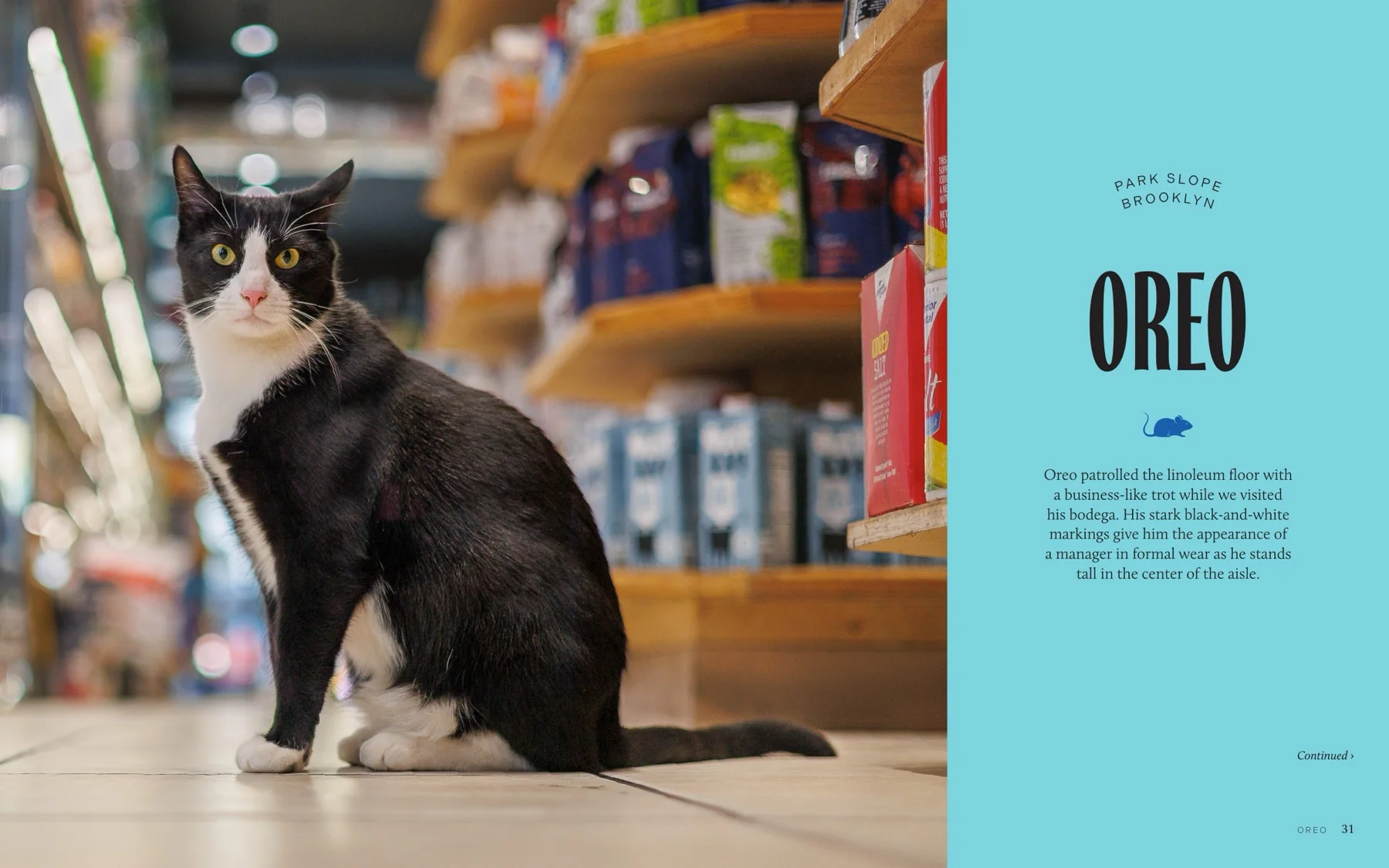 Interior spread from Bodega Cats of New York featuring Oreo in Park Slope, Brooklyn. Photography by Gulce Kilkis.
