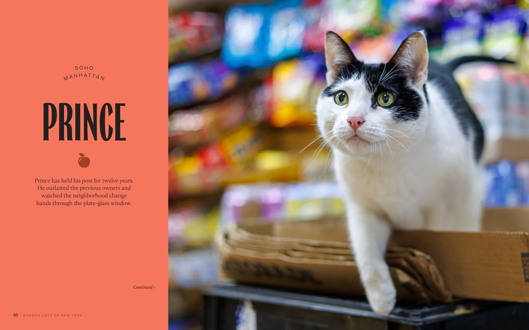 Interior spread from Bodega Cats of New York featuring Prince in SoHo, Manhattan. Photography by Gulce Kilkis.