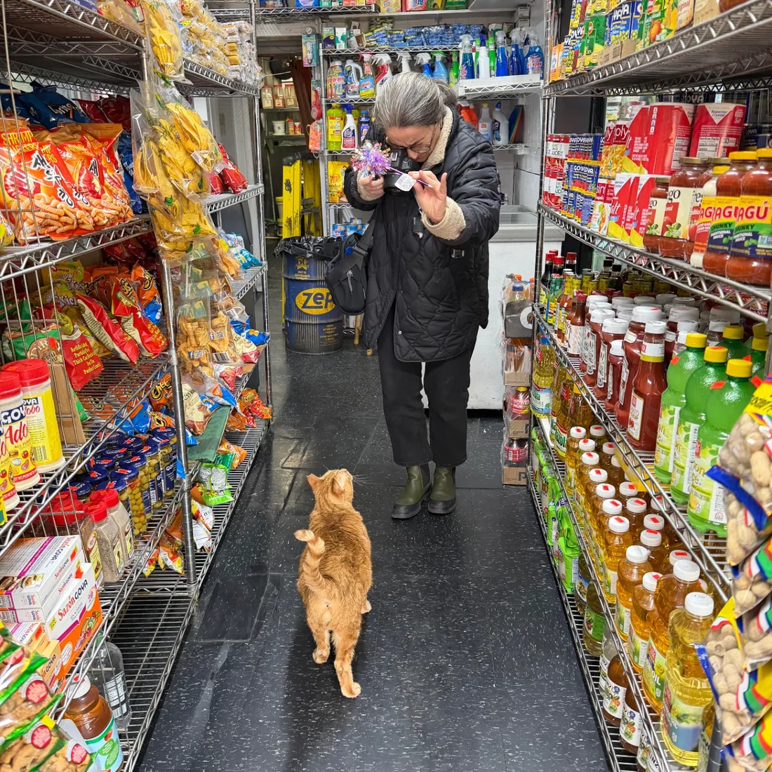 Camera equipment in bodega setting
