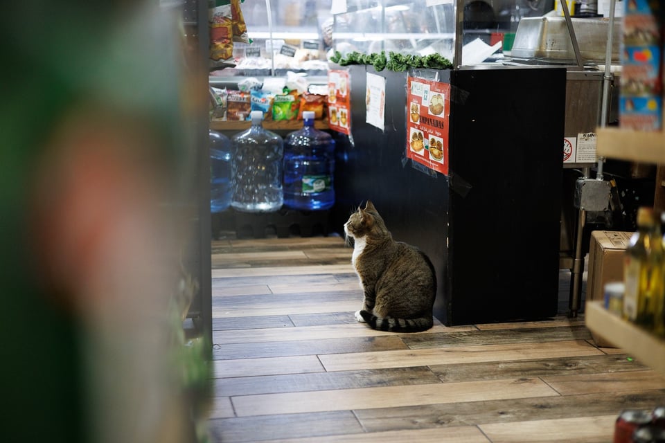 Manny: He Spots Inspectors Before They Enter