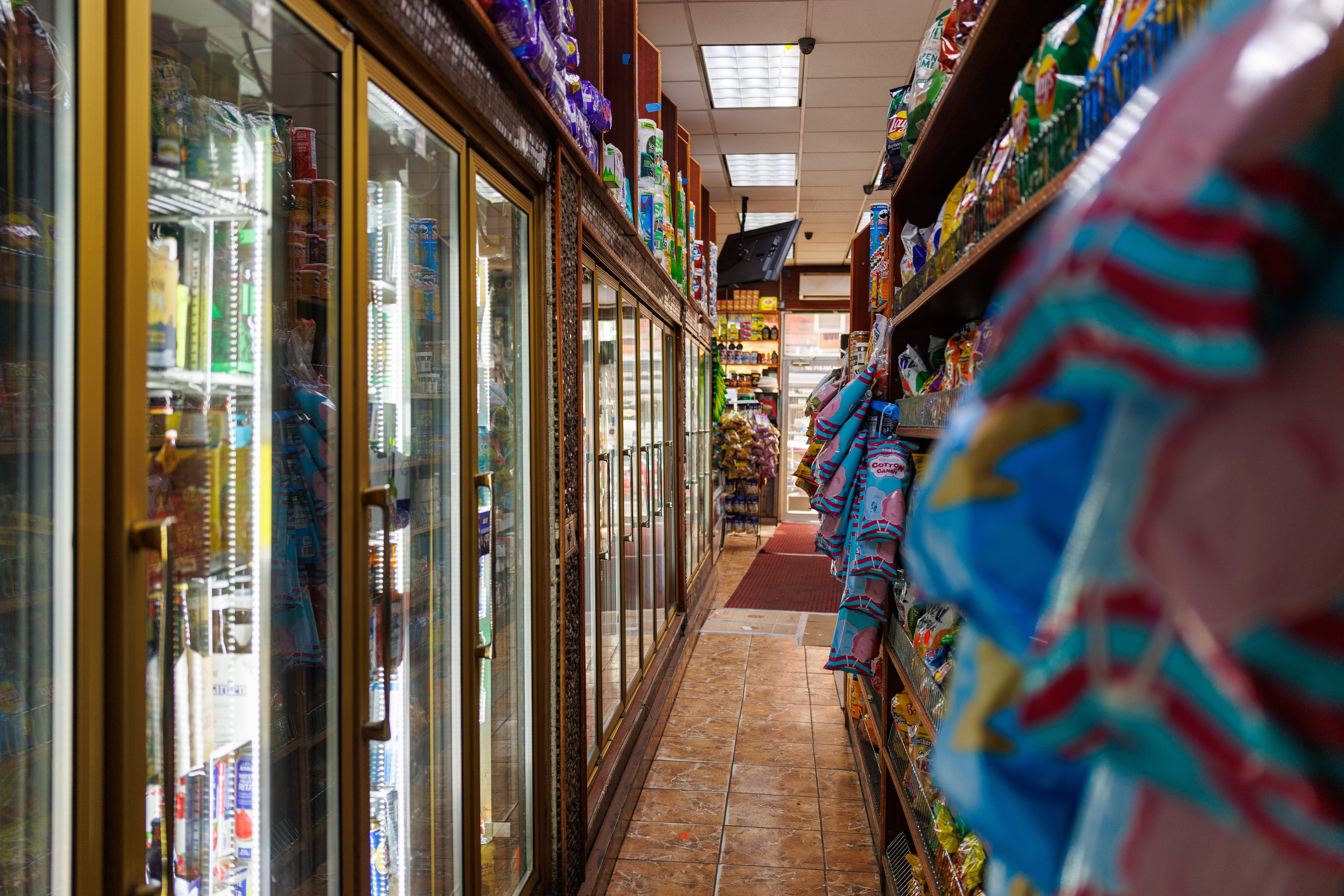 Simba, a large bodega cat in Bed-Stuy, Brooklyn