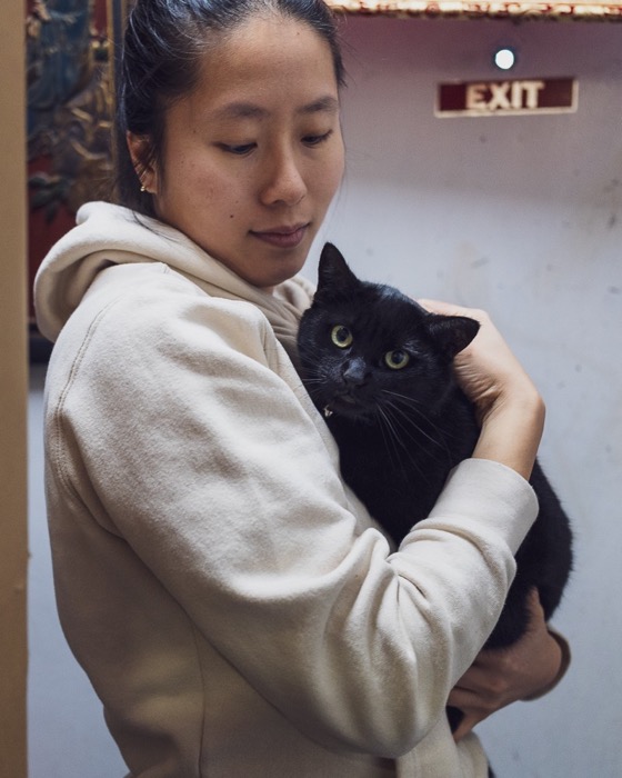 Fat Choy: The Cat Who Refused the Archive